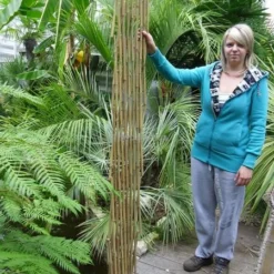 Bamboe Harmonica Trellis 90 X 180 Cm -Goedkope Hof Rustig Winkel 1434014322