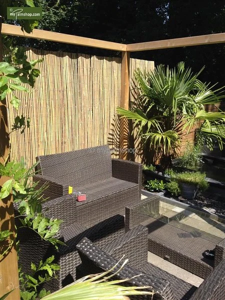 Bamboe Rolscherm Naturel 150 X 180 Cm 2 Bamboe Rolscherm Naturel 150 X 180 Cm - Afbeelding 2