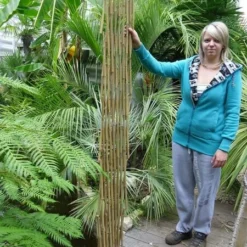 Bamboe Harmonica Trellis 180 X 180 Cm [pallet] -Goedkope Hof Rustig Winkel 1927581879