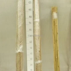 Bamboestokken 25 X - 120 Cm X Ø 12-14 Mm