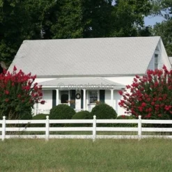Lagerstroemia Indica Berry Dazzle - Totale Hoogte 30-40 Cm - Pot Ø 18 Cm -Goedkope Hof Rustig Winkel 1991161950