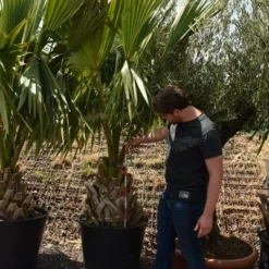 Goedkope Hof Rustig Winkel -Goedkope Hof Rustig Winkel 1991550876