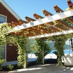 Trachelospermum Jasminoides - Pot 3 Ltr -Goedkope Hof Rustig Winkel 1991606004