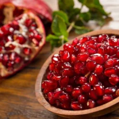 Punica Granatum Dente Di Cavallo - Pot 2 Ltr -Goedkope Hof Rustig Winkel 1991666157