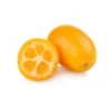 Citrus Kumquat - Stam 15-25 Cm - Totale Hoogte 40-50 Cm - Pot Ø 15 Cm