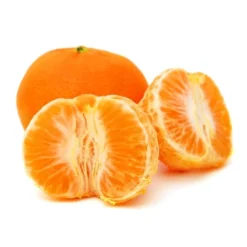 Citrus Reticulata - Totale Hoogte 140-160 Cm - Pot Ø 26 Cm -Goedkope Hof Rustig Winkel 1991670474