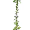 Wisteria Sinensis Totale Hoogte 160+ Cm - 3 Ltr Pot