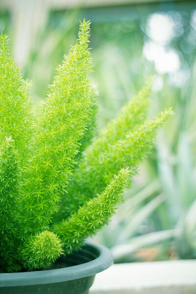 Goedkope Hof Rustig Winkel -Goedkope Hof Rustig Winkel 1946630253