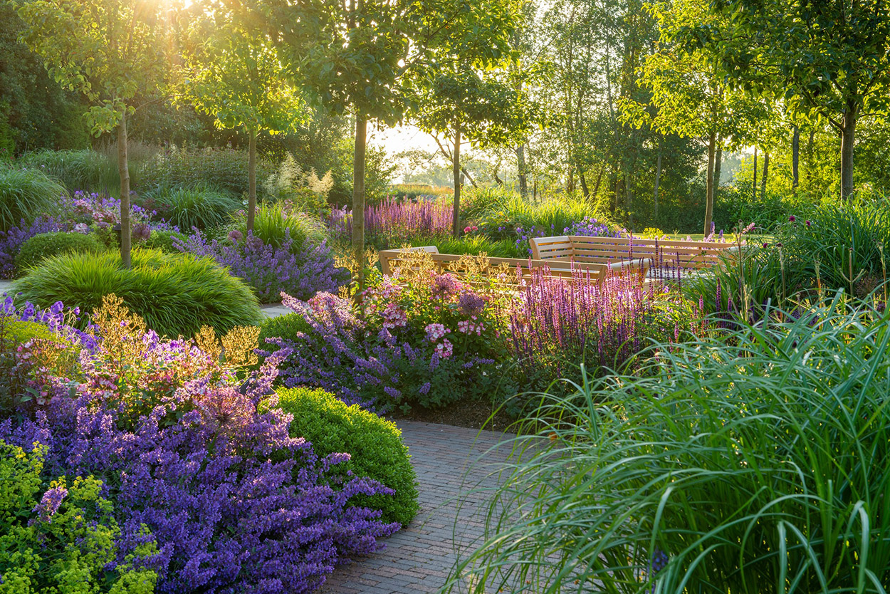 Goedkope Hof Rustig Winkel -Goedkope Hof Rustig Winkel 349301638 280826167624218 5707092611657283690 n